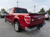 Used 2014 Ford F150 XLT w/ Equipment Group 302A Luxury image 5