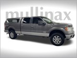Used 2013 Ford F150 XLT w/ Luxury Equipment Group image 2