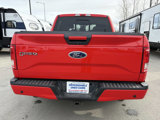 Used 2015 Ford F150 XLT w/ Equipment Group 302A Luxury image 6