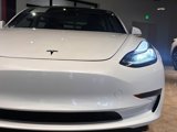 Used 2019 Tesla Model 3 Standard Range Plus image 5