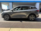 New 2024 Ford Escape ST-Line w/ Tech Pack #1 image 4