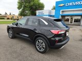 Used 2020 Ford Escape SEL image 3