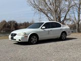 Used 2000 Nissan Maxima GLE image 3