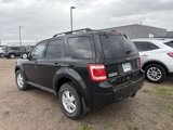 Used 2010 Ford Escape XLT image 5
