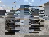 Used 2019 Ford Edge Titanium image 3