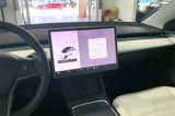 Used 2021 Tesla Model 3 Standard Range Plus image 6