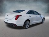 New 2025 Cadillac CT4 Premium Luxury image 4