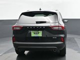 New 2025 Ford Escape ST-Line Select w/ Tech Pack #1 image 5