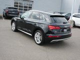 Used 2019 Audi Q5 2.0T Premium Plus w/ Premium Plus Package image 5