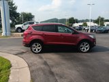 Used 2019 Ford Escape Titanium image 5