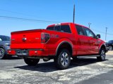 Used 2014 Ford F150 FX4 w/ Equipment Group 402A Luxury image 4
