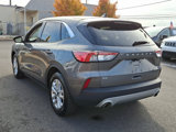 Used 2022 Ford Escape SE image 4