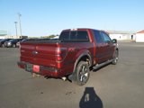 Used 2014 Ford F150 FX4 w/ Equipment Group 402A Luxury image 6