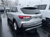 Used 2020 Ford Escape SE image 3