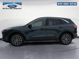 Certified 2022 Ford Escape SEL image 2