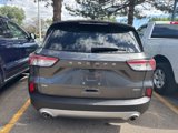 Used 2020 Ford Escape SE Sport image 6