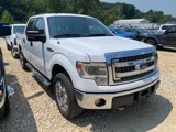 Used 2014 Ford F150 XLT w/ Equipment Group 302A Luxury image 3