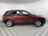 Certified 2021 Ford Escape SE image 4