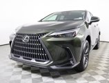 Certified 2024 Lexus NX 250 FWD image 3