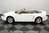 Used 1999 Ford Mustang Cobra image 2