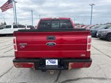 Used 2010 Ford F150 FX4 image 4