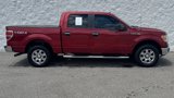Used 2009 Ford F150 XLT image 2