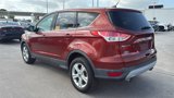 Used 2014 Ford Escape SE image 4