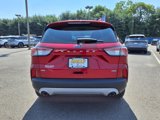 Used 2022 Ford Escape SE w/ Convenience Package image 5