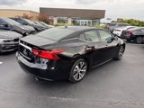 Used 2016 Nissan Maxima Platinum image 5