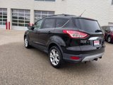 Used 2013 Ford Escape SEL image 4