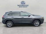 Used 2019 Jeep Cherokee Latitude Plus w/ Cold Weather Group image 5