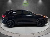 Used 2020 Ford Escape SE Sport image 2