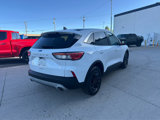 Used 2022 Ford Escape SE w/ Convenience Package image 6