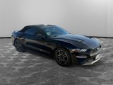Used 2018 Ford Mustang Premium image 3