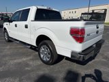 Used 2013 Ford F150 XLT w/ XLT Chrome Pkg image 3