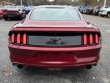 Used 2016 Ford Mustang Coupe w/ Wheel & Stripe Package image 6