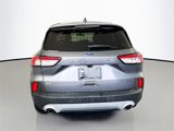 Used 2021 Ford Escape SE w/ Cold Weather Package image 6