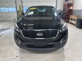 Used 2016 Kia Sorento LX w/ LX Convenience Package image 3