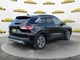 Certified 2022 Ford Escape SEL image 5