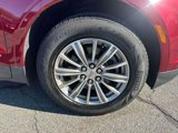 Used 2017 Cadillac XT5 Luxury w/ Driver Awareness Package image 6