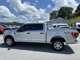 Used 2021 Ford F150 XLT image 4
