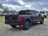 Used 2023 Ford F150 XLT w/ Equipment Group 302A High image 2