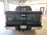 Used 2014 Ford F150 XLT w/ Equipment Group 302A Luxury image 5