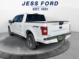 Used 2018 Ford F150 XLT w/ Equipment Group 302A Luxury image 3