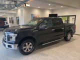 Used 2015 Ford F150 XLT w/ Equipment Group 301A Mid image 3