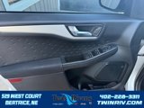 Used 2020 Ford Escape SE image 6