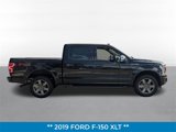 Used 2019 Ford F150 XLT w/ Equipment Group 302A Luxury image 2