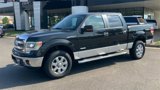 Used 2014 Ford F150 XLT w/ Equipment Group 302A Luxury image 4