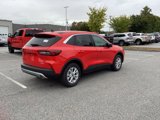 New 2024 Ford Escape Active w/ Tech Pack #1 image 6