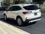 Used 2020 Ford Escape SE image 5